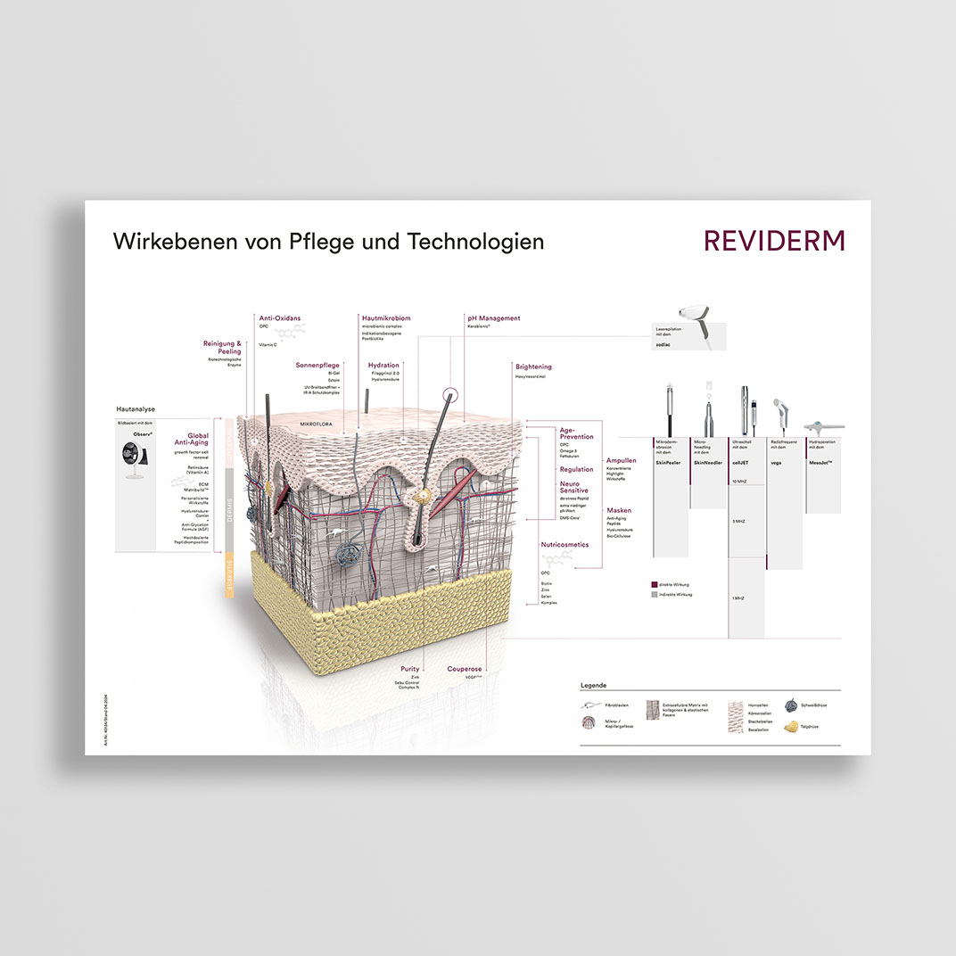 Poster A1 Hautquerschnitt